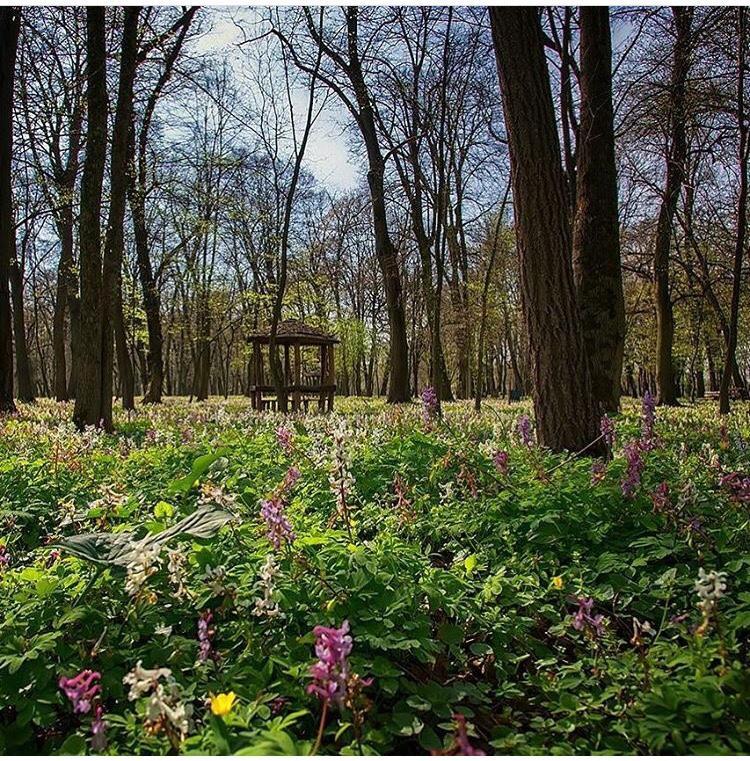 Отель Vukovarska Kuca Экстерьер фото